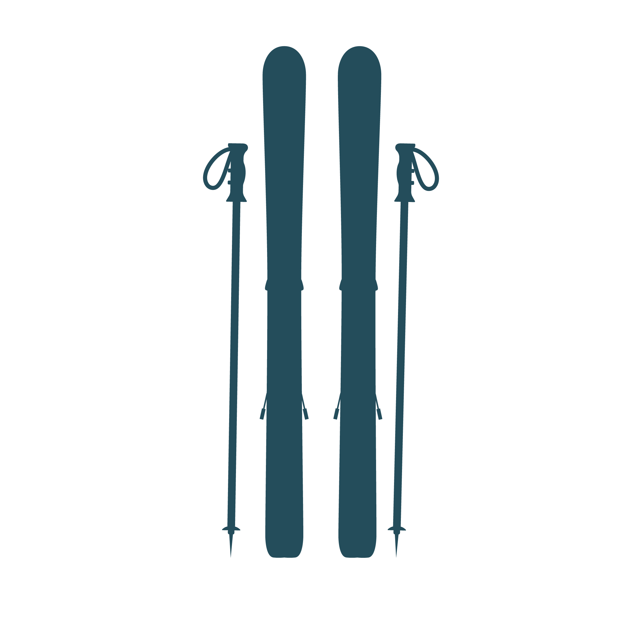 Skis Color