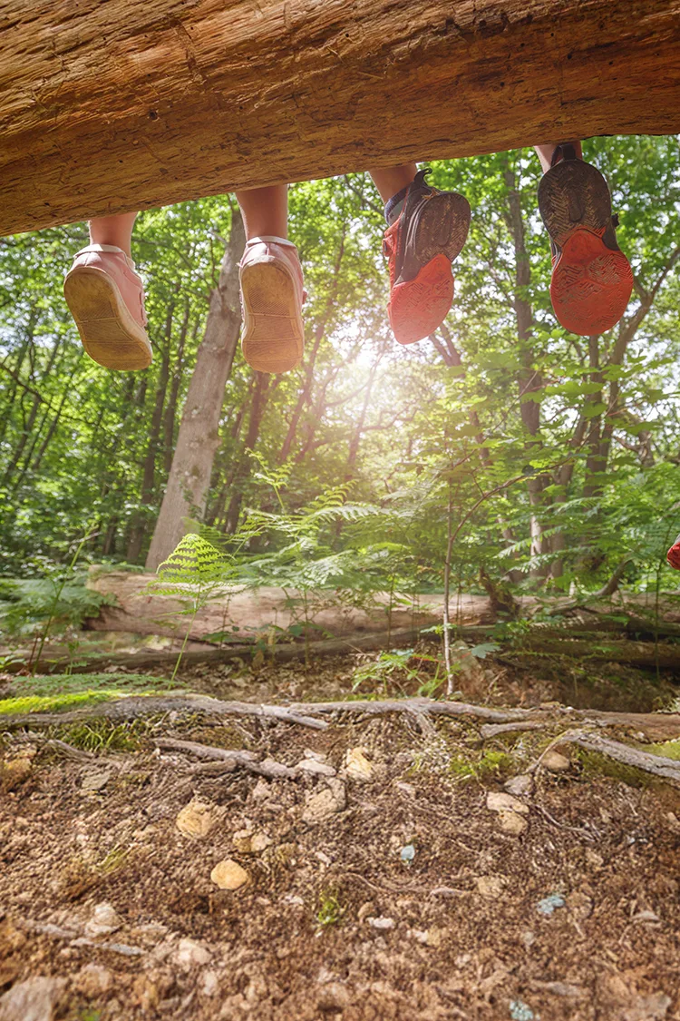 Feet Of Happy Kids Dangle Off A Log Above Green Summer Forest campers on a log
