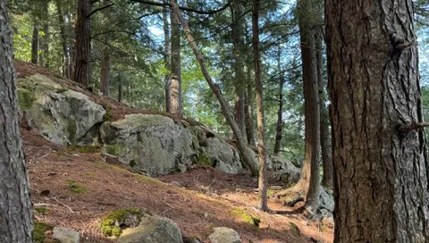 Hiking Trail