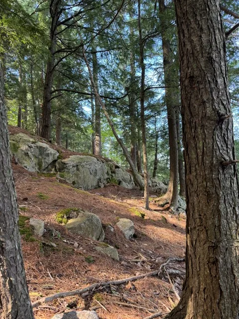 Hiking Trail