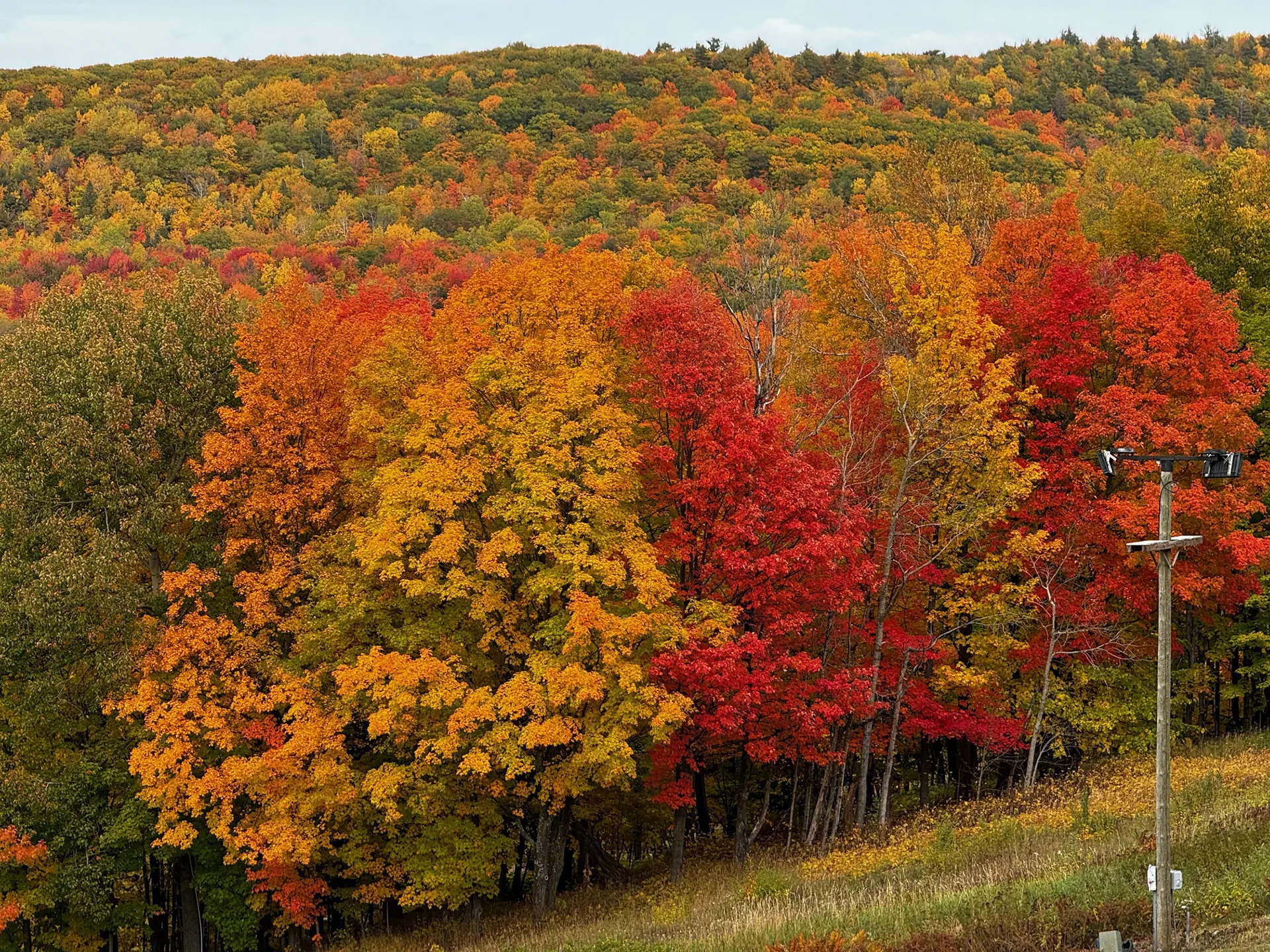 fall colors