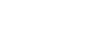 MSAI logo
