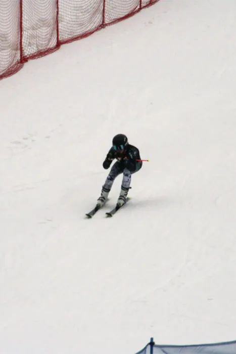 Downhill Skiier In Motion3